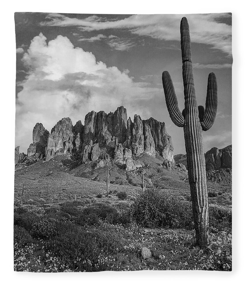 Disk1216 Fleece Blanket featuring the photograph Cacti And Superstition Mts. by Tim Fitzharris