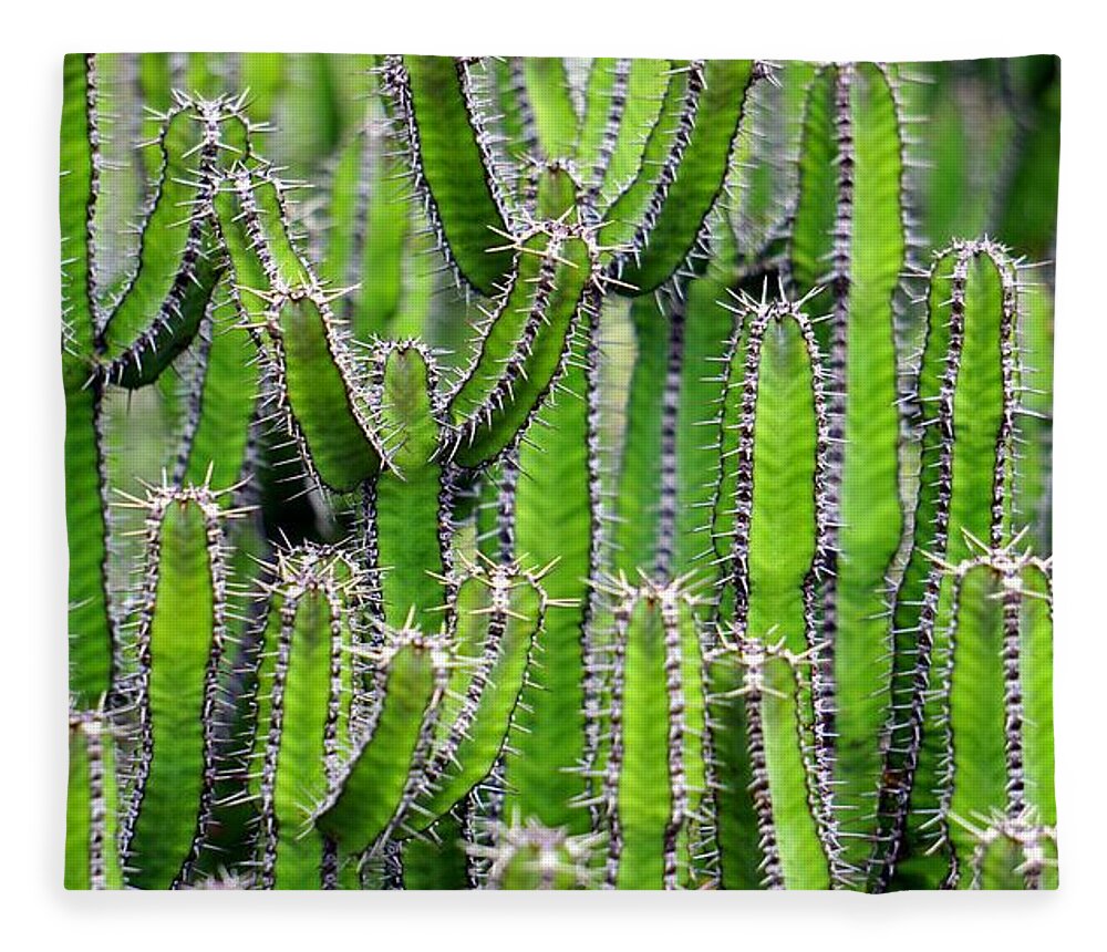 Cute Fleece Blanket featuring the photograph Cacti wall by Top Wallpapers