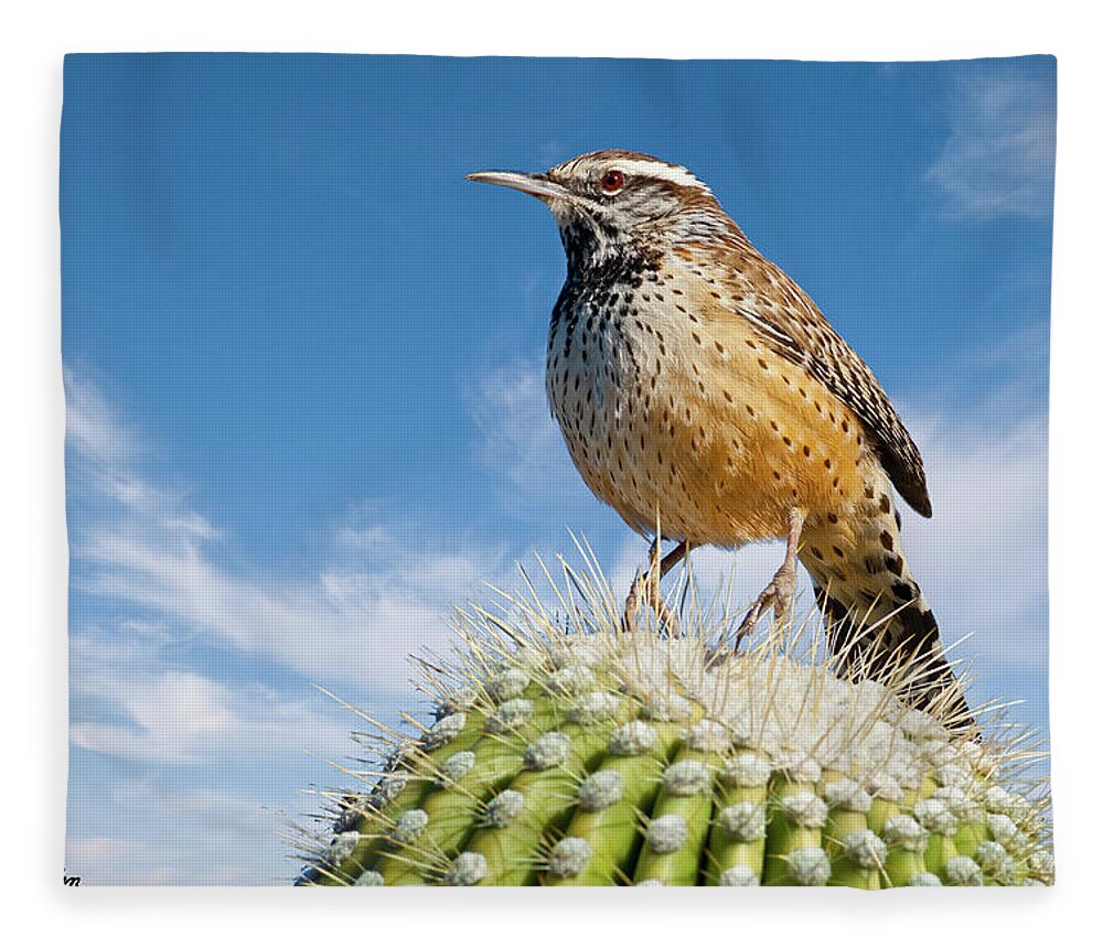 Adult Fleece Blanket featuring the photograph Cactus Wren on a Saguaro Cactus by Jeff Goulden