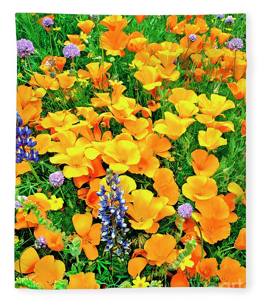 North America Fleece Blanket featuring the photograph California Poppies and Betham Lupines Southern California by Dave Welling