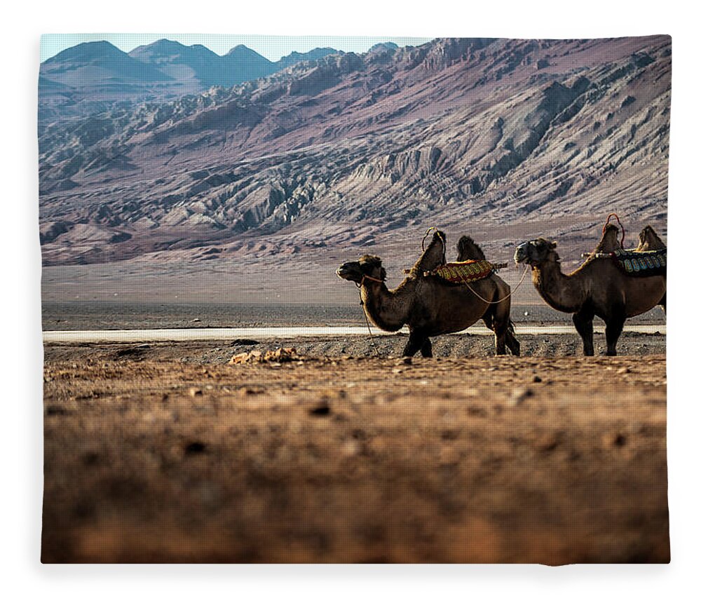 Working Animal Fleece Blanket featuring the photograph Camels At Xinjiang,china by Nutexzles
