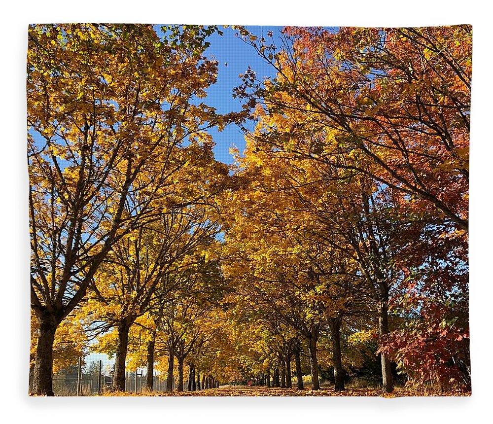 Autumn Fleece Blanket featuring the photograph Canopy Of Color by Brian Eberly