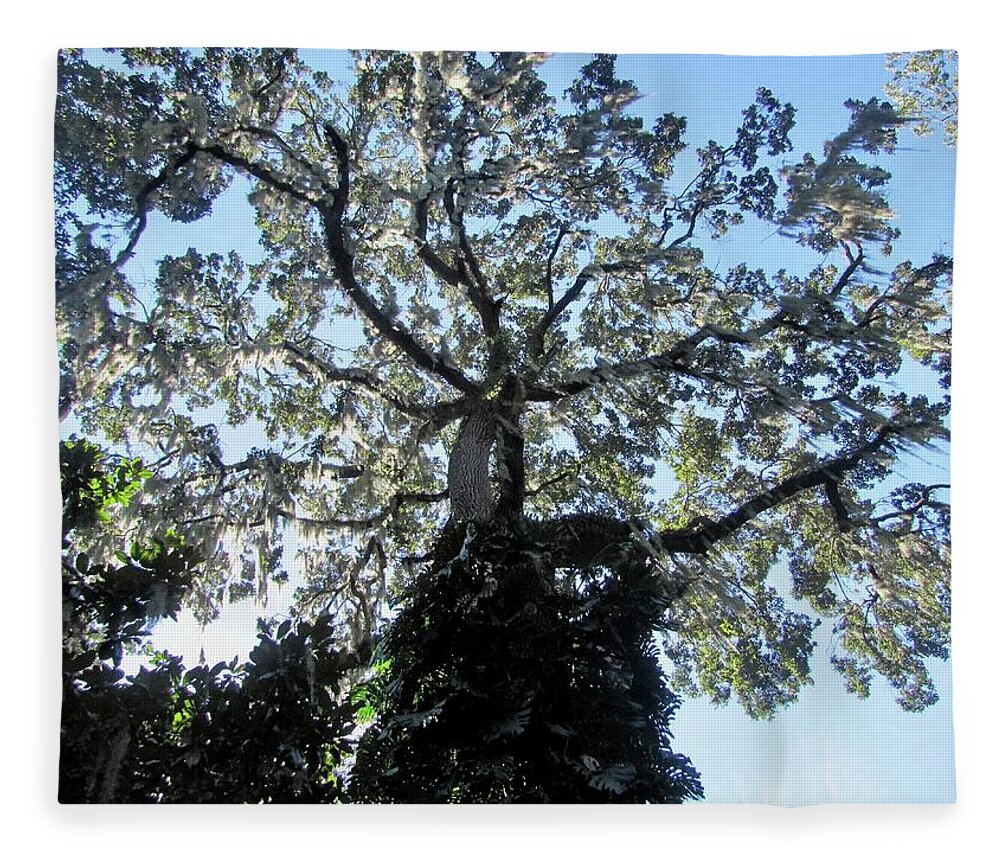 Canopy Fleece Blanket featuring the photograph Canopy of Light by David Bader