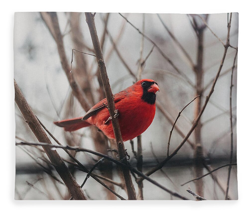 Red Fleece Blanket featuring the photograph Cardinal in My Window by Amber Flowers