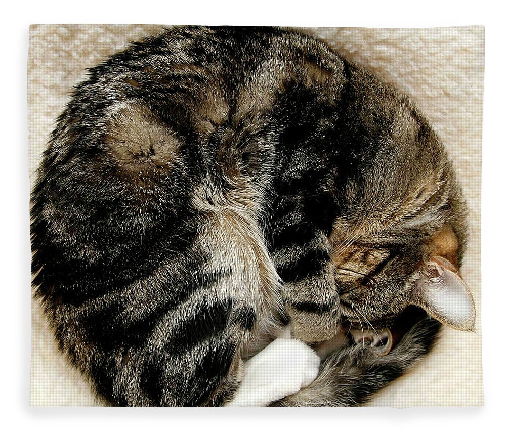 Pets Fleece Blanket featuring the photograph Cat Sleeping Curled Into Ball by Kerry M. Halasz