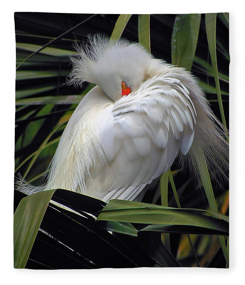 Egret Fleece Blanket featuring the photograph Catching the Red Eye by Michael Allard