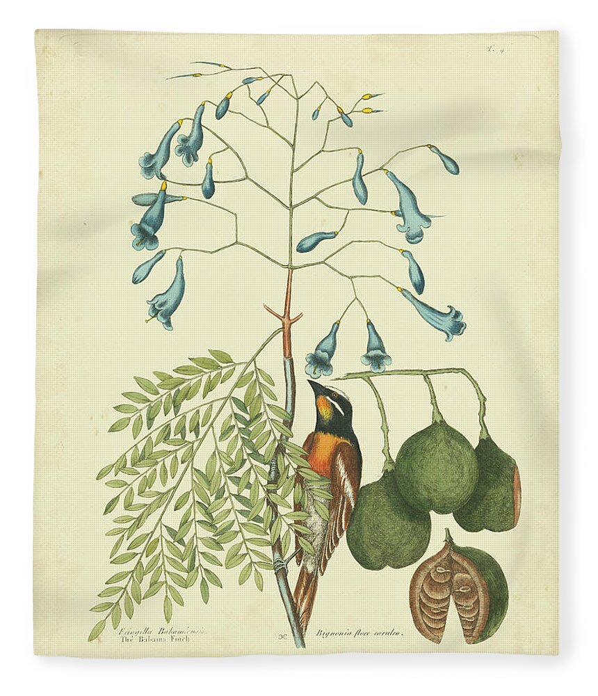 Animals Fleece Blanket featuring the painting Catesby Bird & Botanical II by Mark Catesby