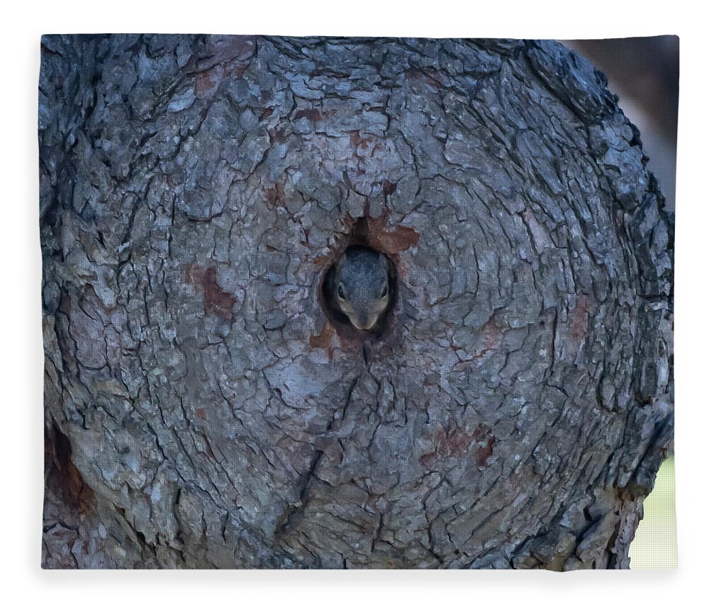 Squirrel Fleece Blanket featuring the photograph Center of Attention by Patrick Nowotny