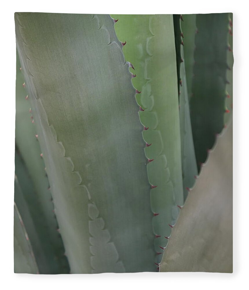 Desert Botanical Garden Fleece Blanket featuring the photograph Century Plant Abstract by David T Wilkinson