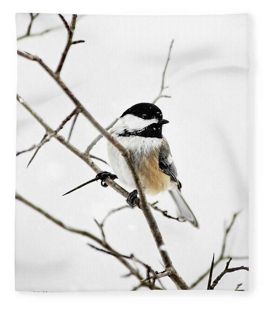 Chickadee Fleece Blanket featuring the photograph Charming Winter Chickadee by Christina Rollo
