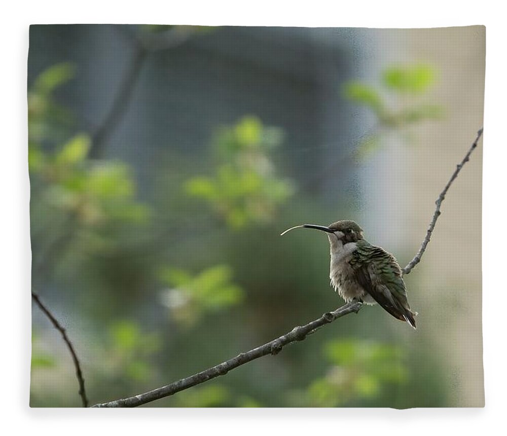 America Fleece Blanket featuring the photograph Cheeky Hummingbird by Jeff Folger