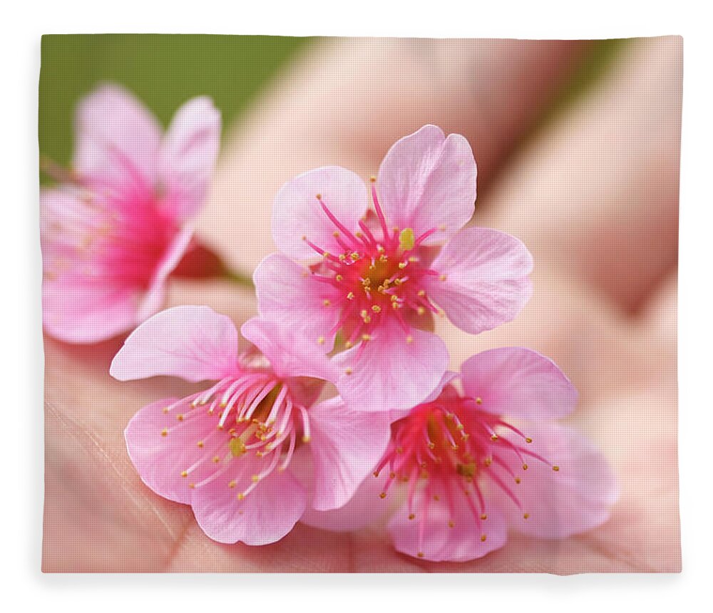 Plum Fleece Blanket featuring the photograph Cherry Blossom In Hand by Tommyix