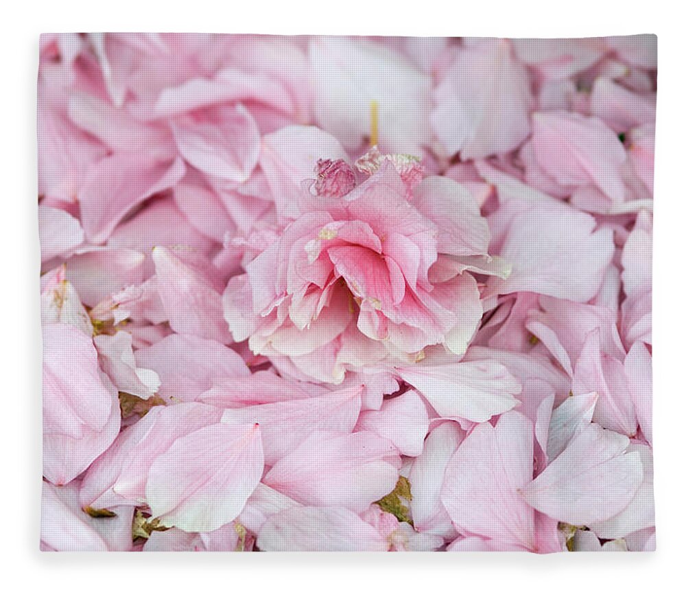 Cherry Fleece Blanket featuring the photograph Cherry Blossom Prunus Sp. Flower And by Georgette Douwma
