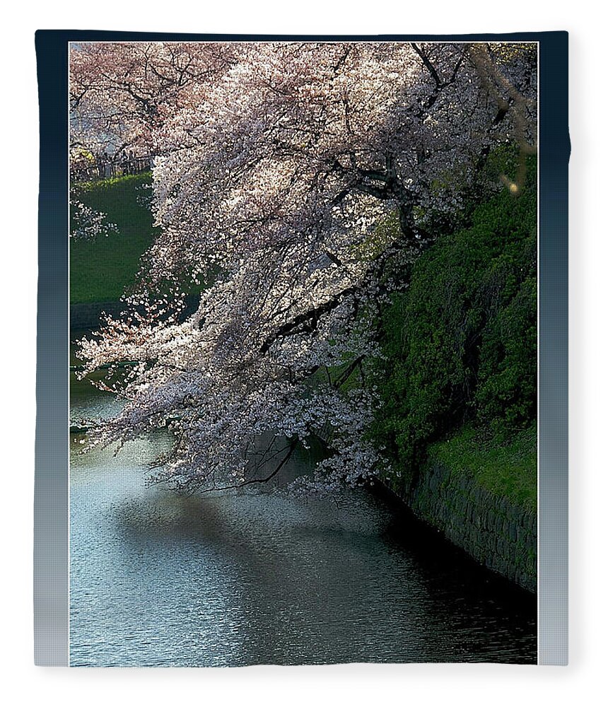 Scenics Fleece Blanket featuring the photograph Cherry Blossoms On River by I Love Photo And Apple.