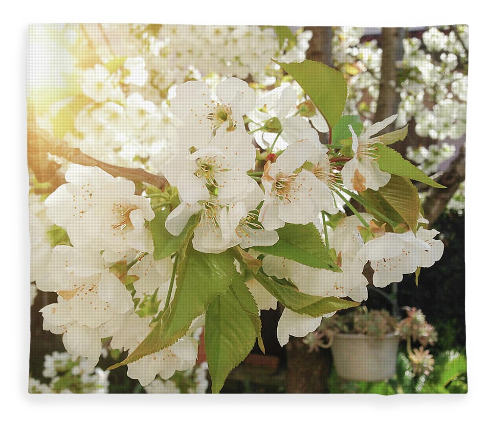 Flowerbed Fleece Blanket featuring the photograph Cherry Tree With Blossom by Franckreporter