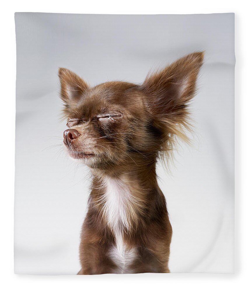 Pets Fleece Blanket featuring the photograph Chihuahua Crying by Stilllifephotographer