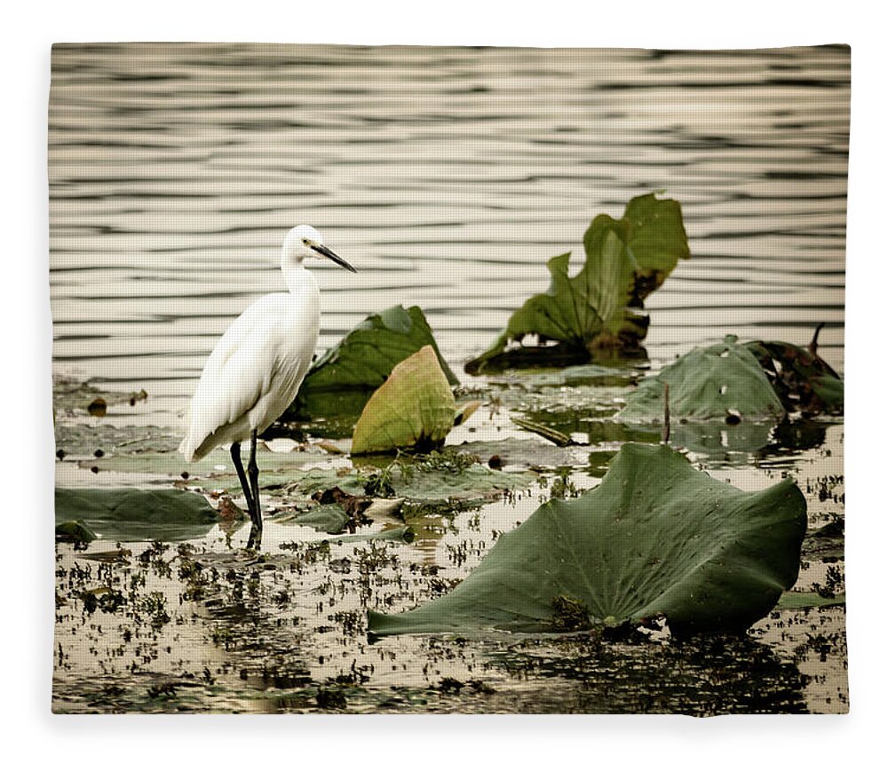 China Fleece Blanket featuring the photograph Chinese Egret by Kathryn McBride
