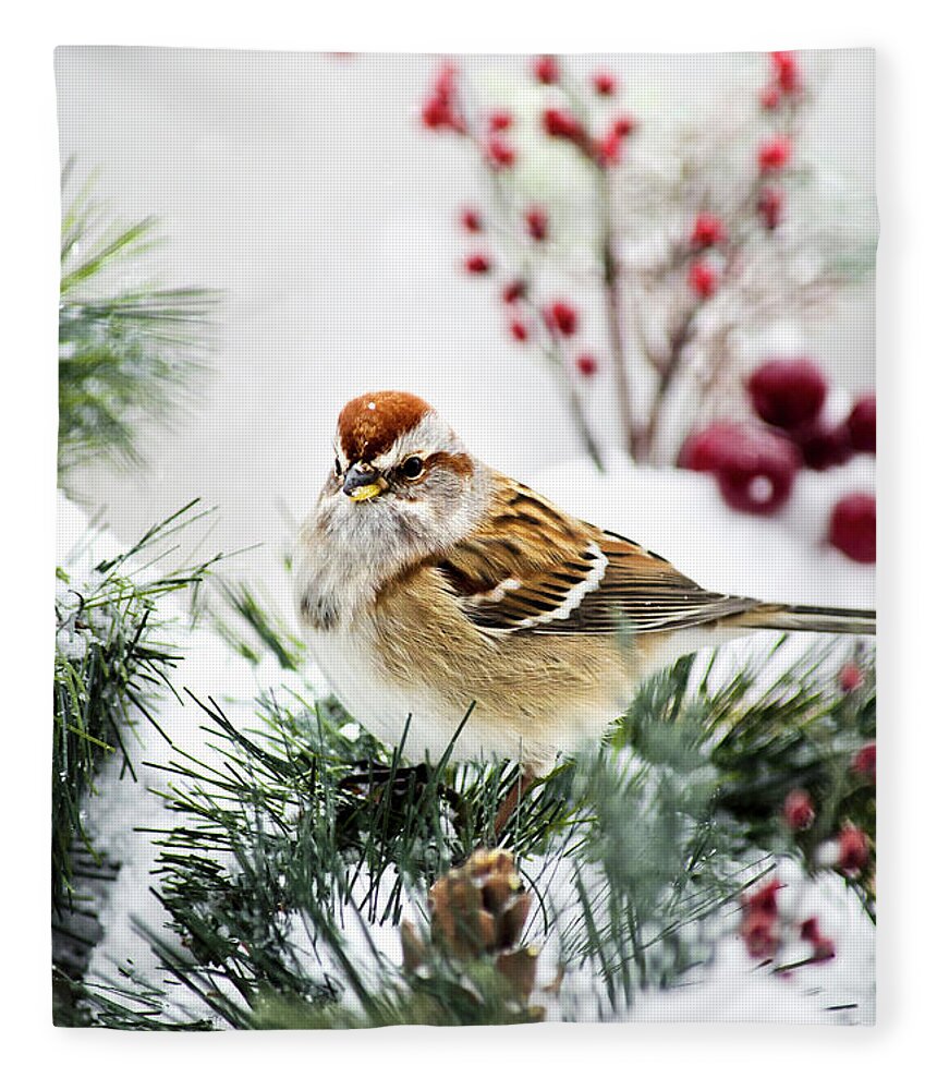Bird Fleece Blanket featuring the photograph Christmas Sparrow by Christina Rollo