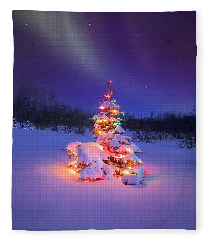 Tranquility Fleece Blanket featuring the photograph Christmas Tree Glowing Under The by Design Pics/carson Ganci