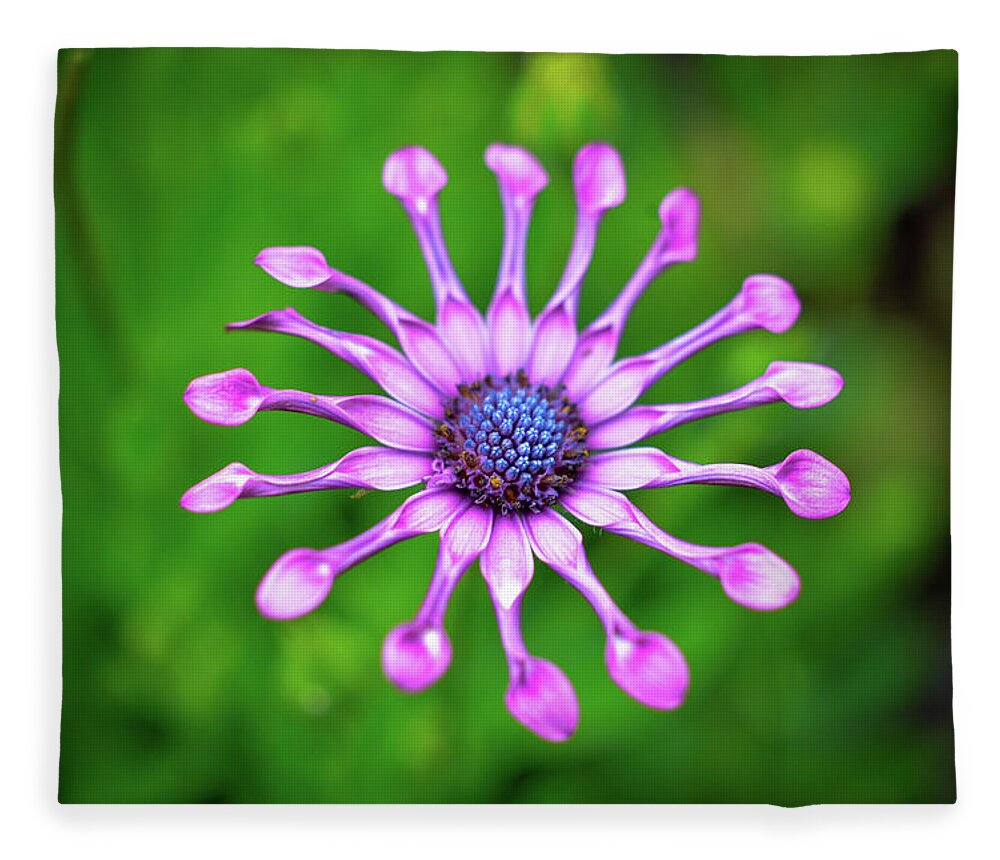 Flower Fleece Blanket featuring the photograph Circular by Michelle Wermuth