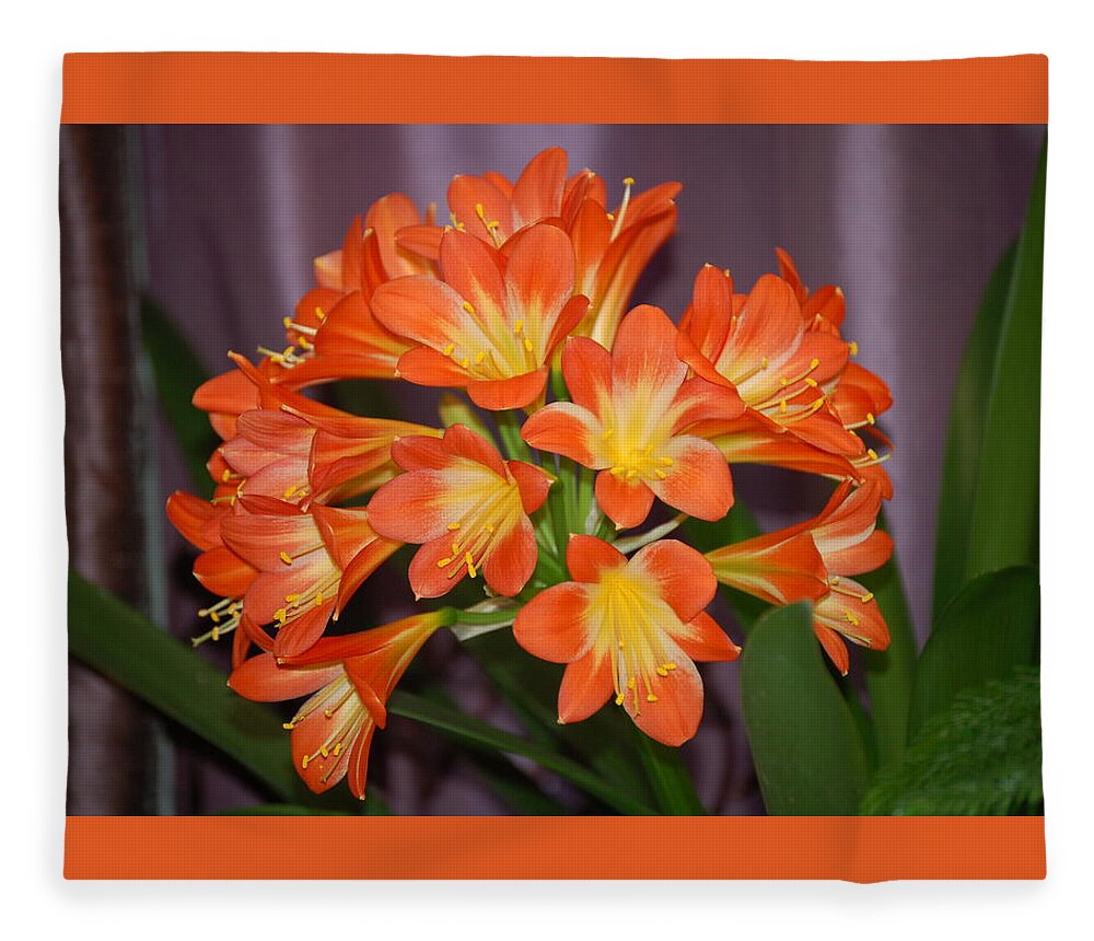 Flowers Fleece Blanket featuring the photograph Clivia Blossoms by Nancy Ayanna Wyatt