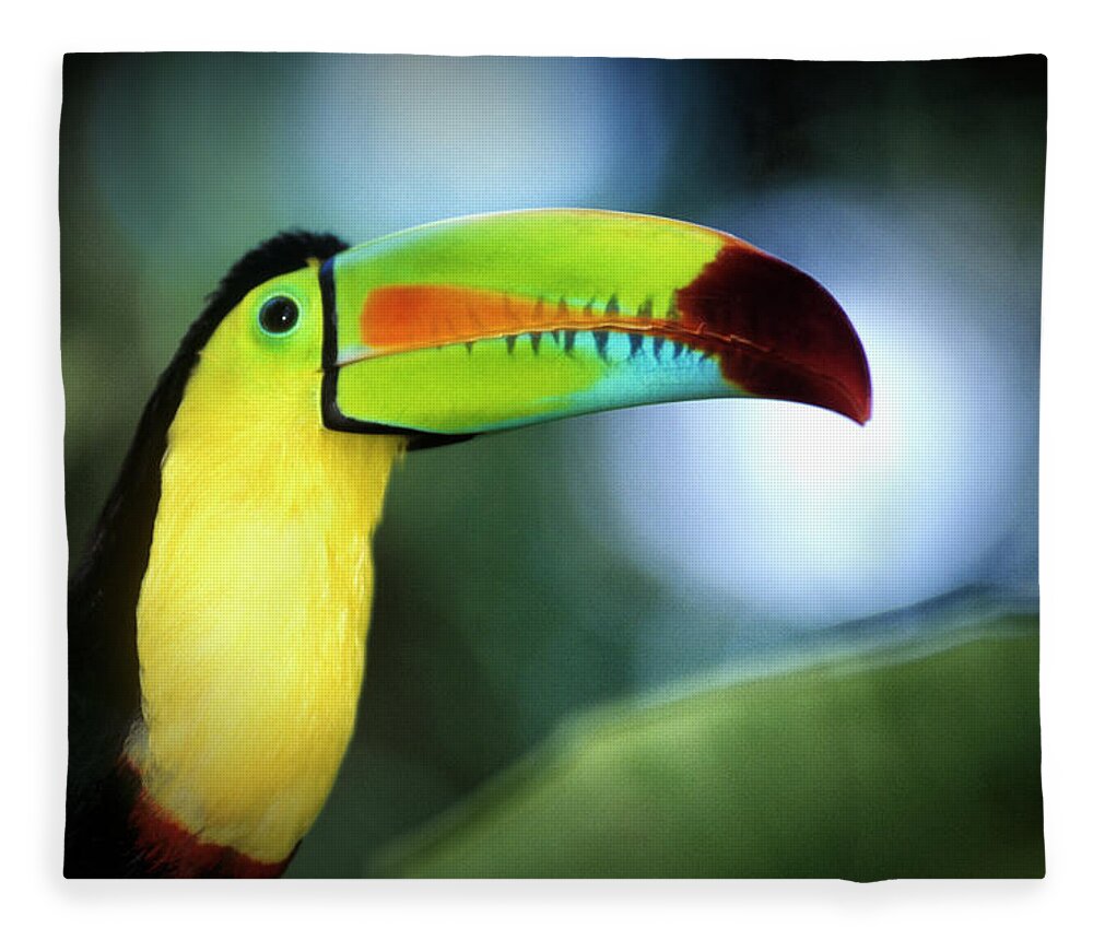 Keel-billed Toucan Fleece Blanket featuring the photograph Close Up Of A Keel Billed Toucan by Mike Hill