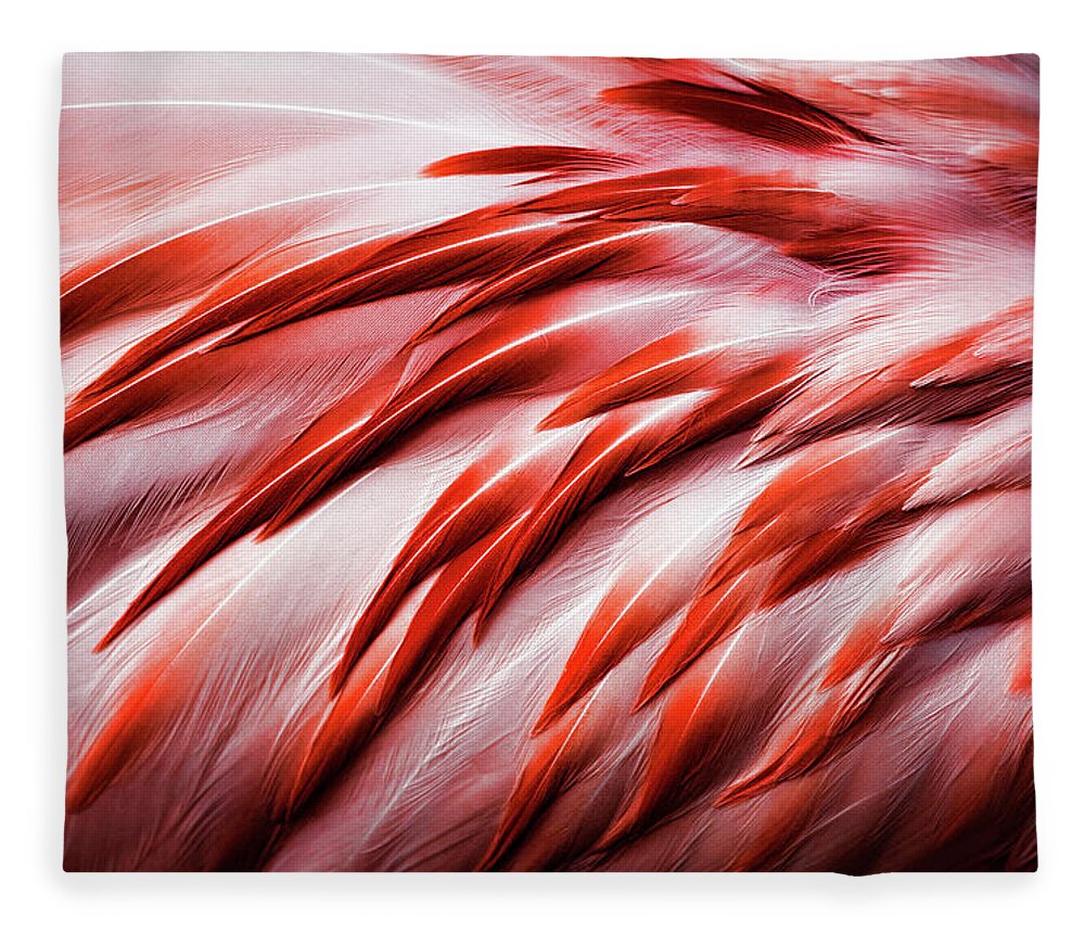 Close-up Of Flamingo Feathers Fleece Blanket by Karen Ulvestad
