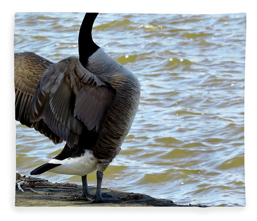 Geese Fleece Blanket featuring the photograph C'mon River Bring it On by Linda Stern