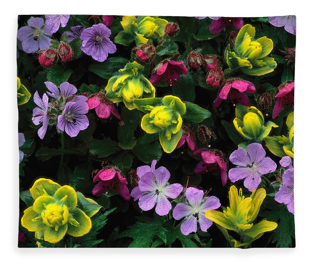 Purple Fleece Blanket featuring the photograph Coastal Paintbrush, Wild Geranium And by Art Wolfe