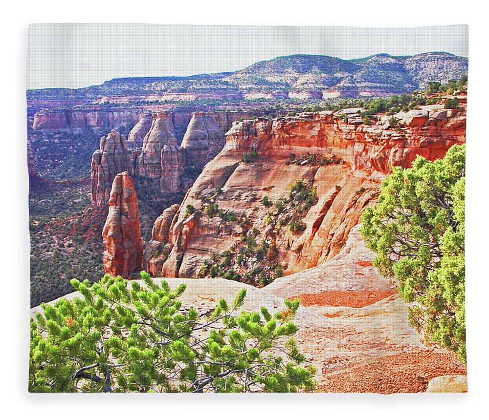 Colorado National Monument Spires Rock Formations Fleece Blanket featuring the photograph Colorado National Monument Spires rock formations 3012 by David Frederick