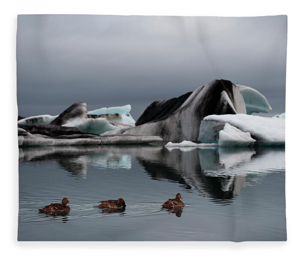 Glacier Lagoon Fleece Blanket featuring the photograph Common Eider, Iceberg In Fjord by Roine Magnusson