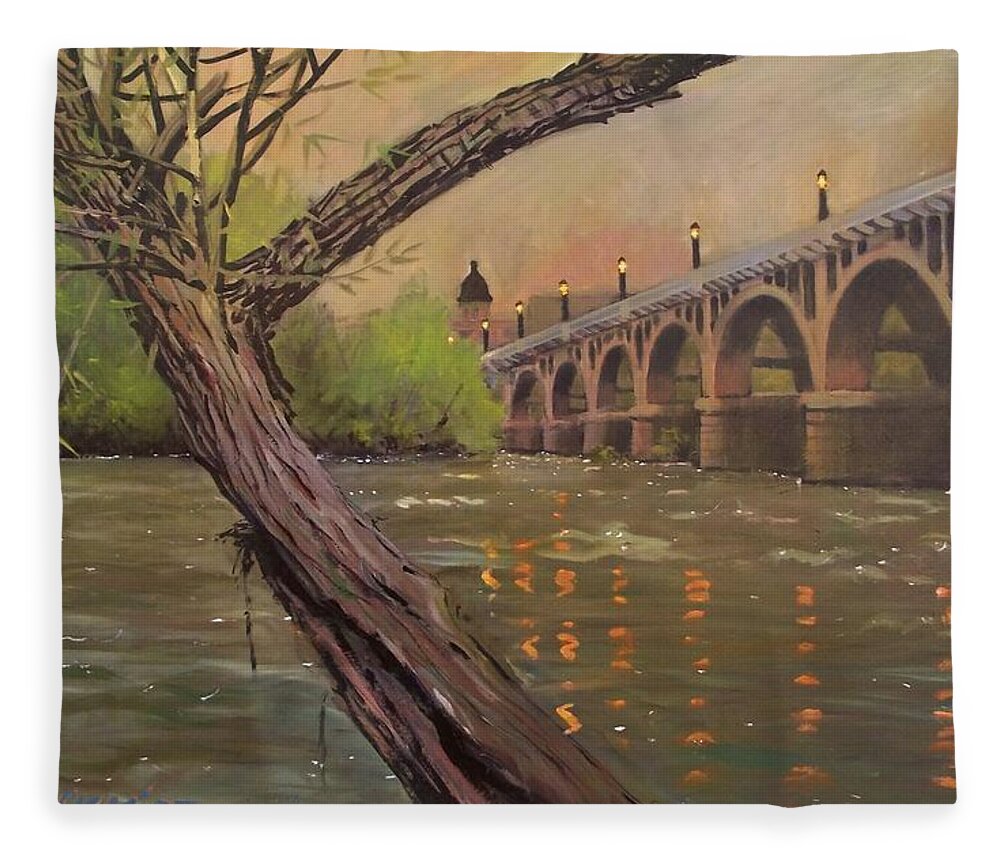 Gervais Street Bridge Fleece Blanket featuring the painting Congaree Bridge in Golds by Blue Sky
