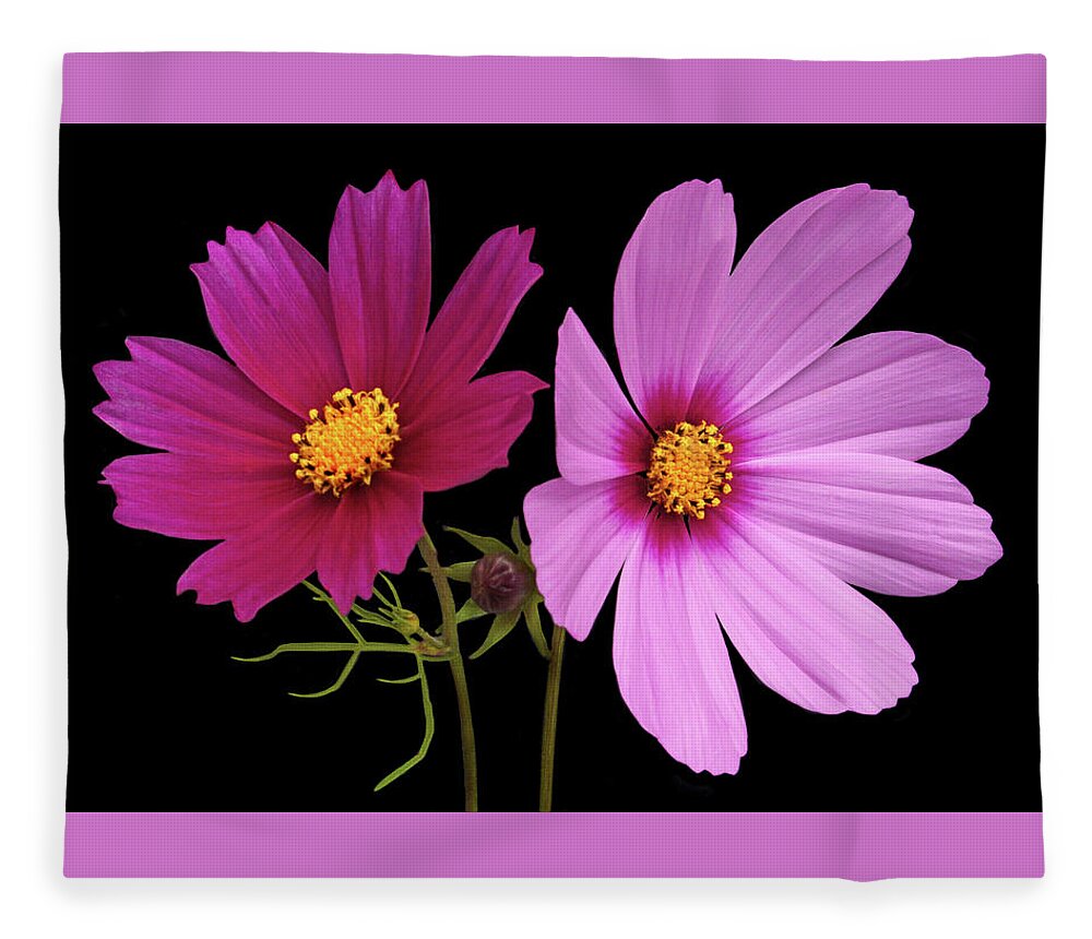 Cosmos Fleece Blanket featuring the photograph Cosmos Duet by Terence Davis
