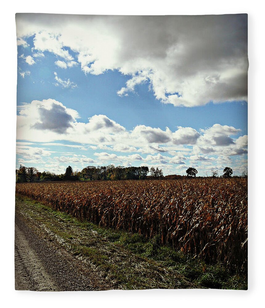 Country Autumn Curves Fleece Blanket featuring the photograph Country Autumn Curves 2 by Cyryn Fyrcyd