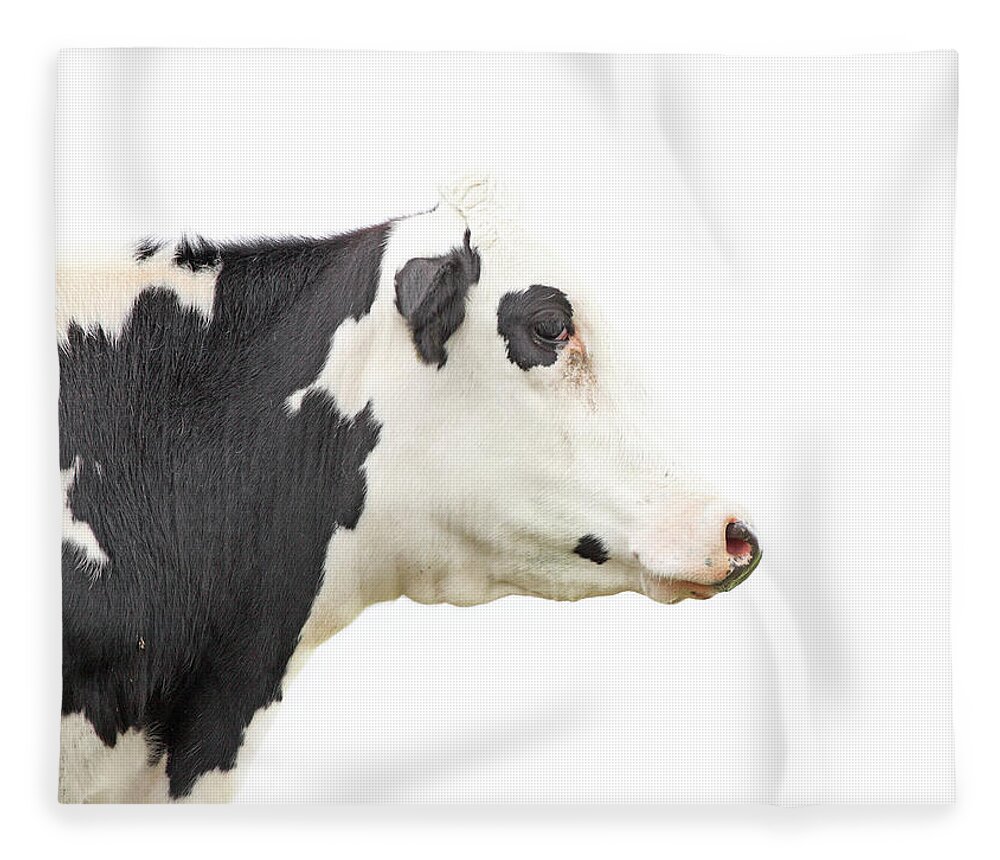 Horizontal Fleece Blanket featuring the photograph Cow Profile by Marcel Ter Bekke