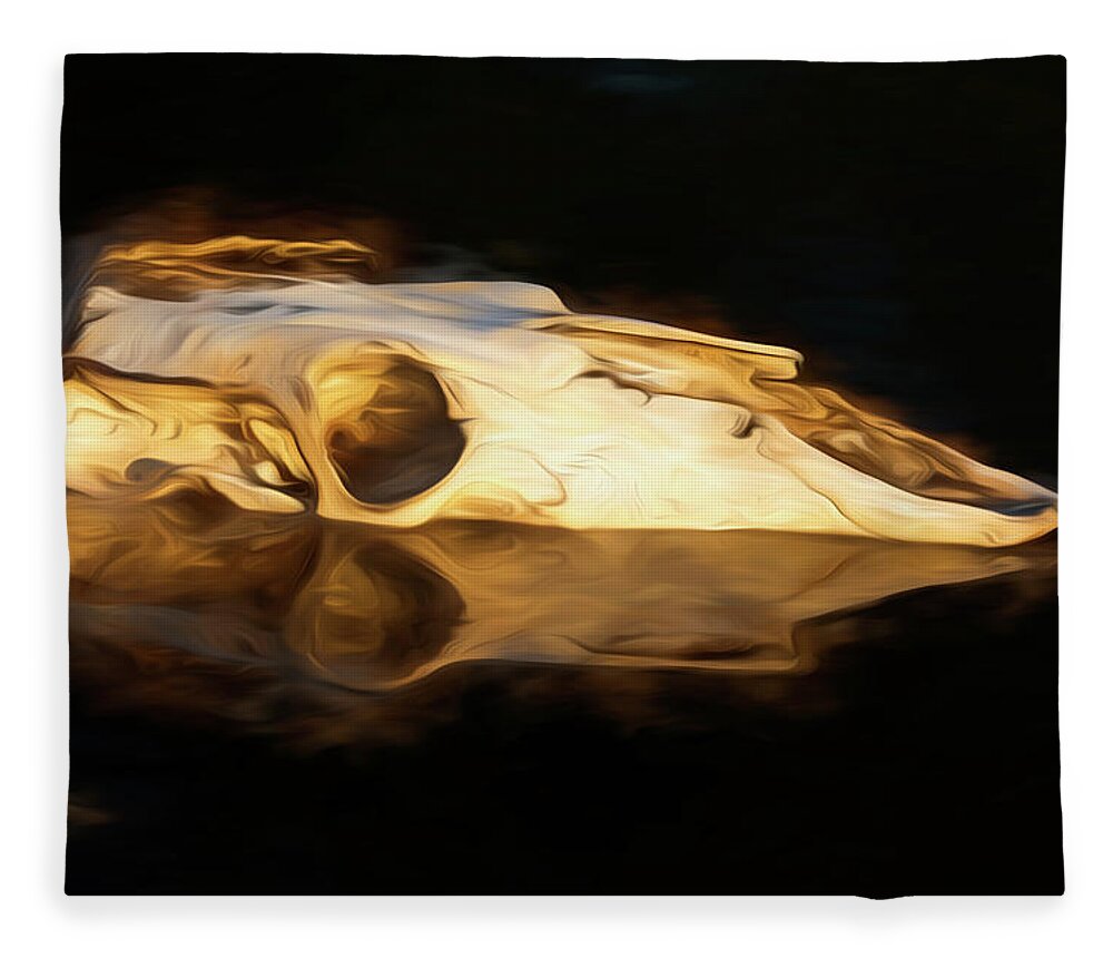 Kansas Fleece Blanket featuring the photograph Cow Skull 003 by Rob Graham