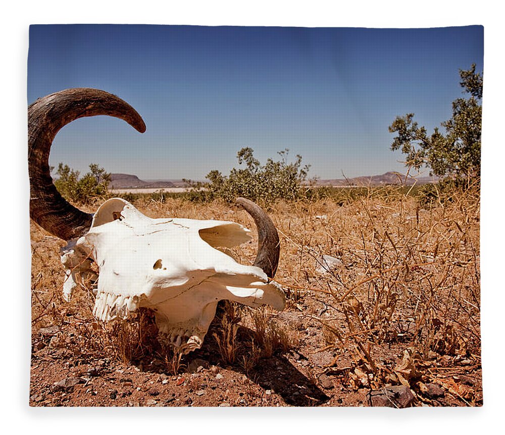 Horned Fleece Blanket featuring the photograph Cow Skull In The Nevada Desert by Lee Pettet