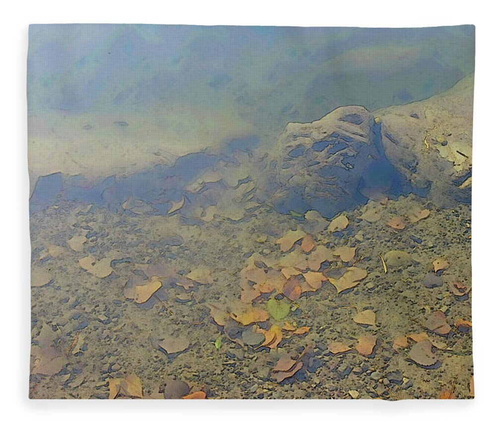 Under Fleece Blanket featuring the photograph Creek Bed by Robert Bissett