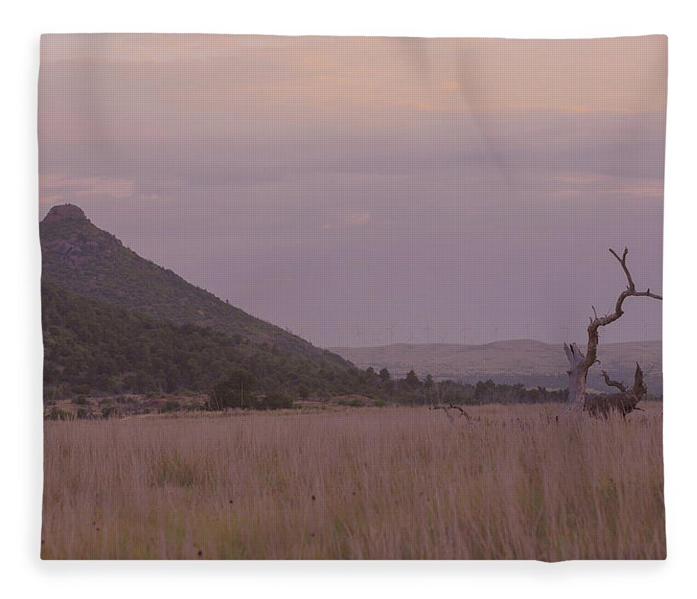 Landscape Fleece Blanket featuring the photograph Crooked Tree Silhouette by Toni Hopper