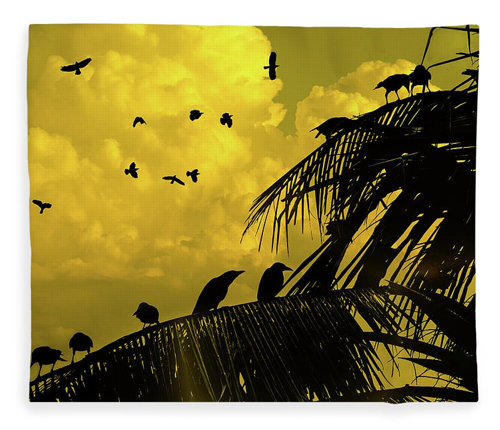 Kandawgyi Park Fleece Blanket featuring the photograph Crows In Kandawgyi Park by Chris Lord