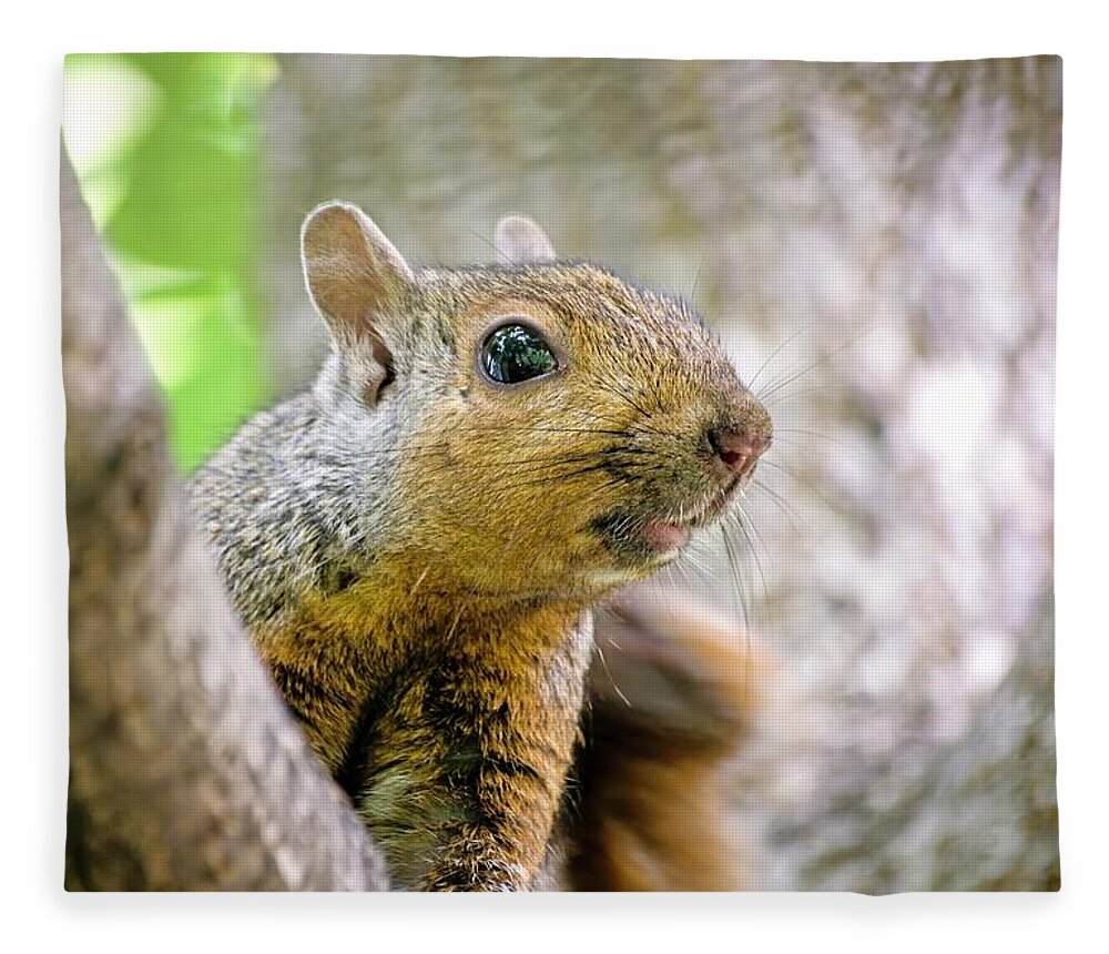 Fox Squirrel Fleece Blanket featuring the photograph Cute Funny Head Squirrel by Don Northup