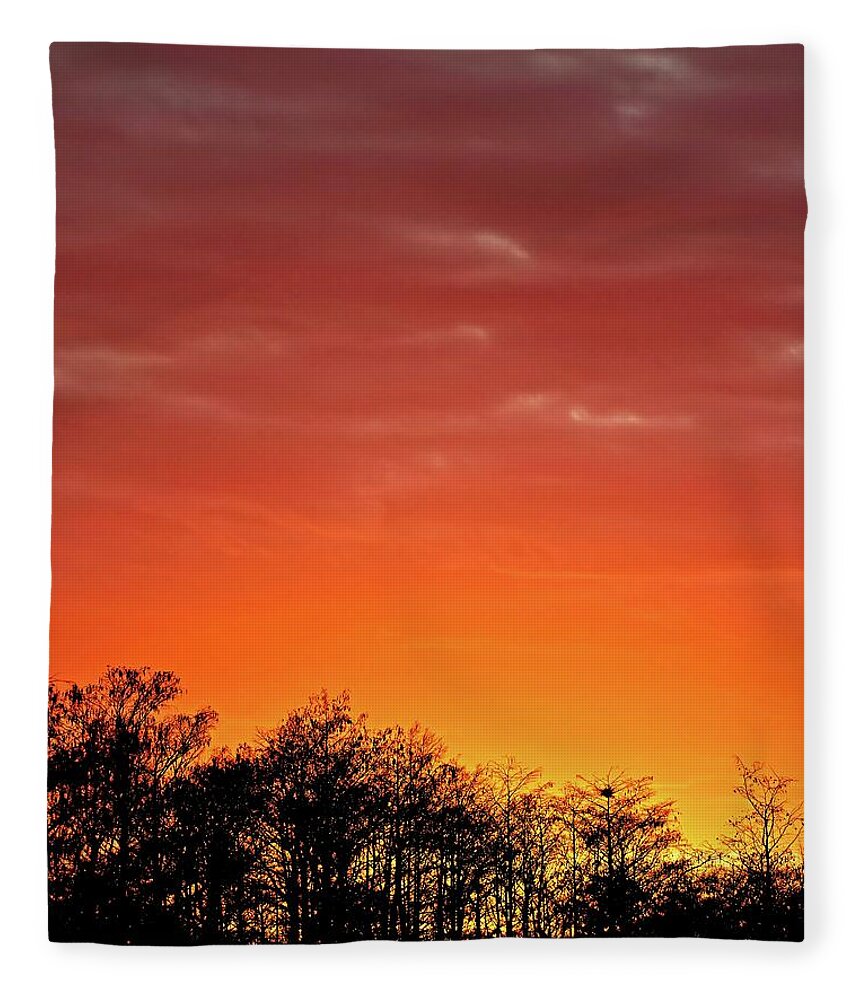 Swamp Fleece Blanket featuring the photograph Cypress Swamp Sunset 4 by Steve DaPonte