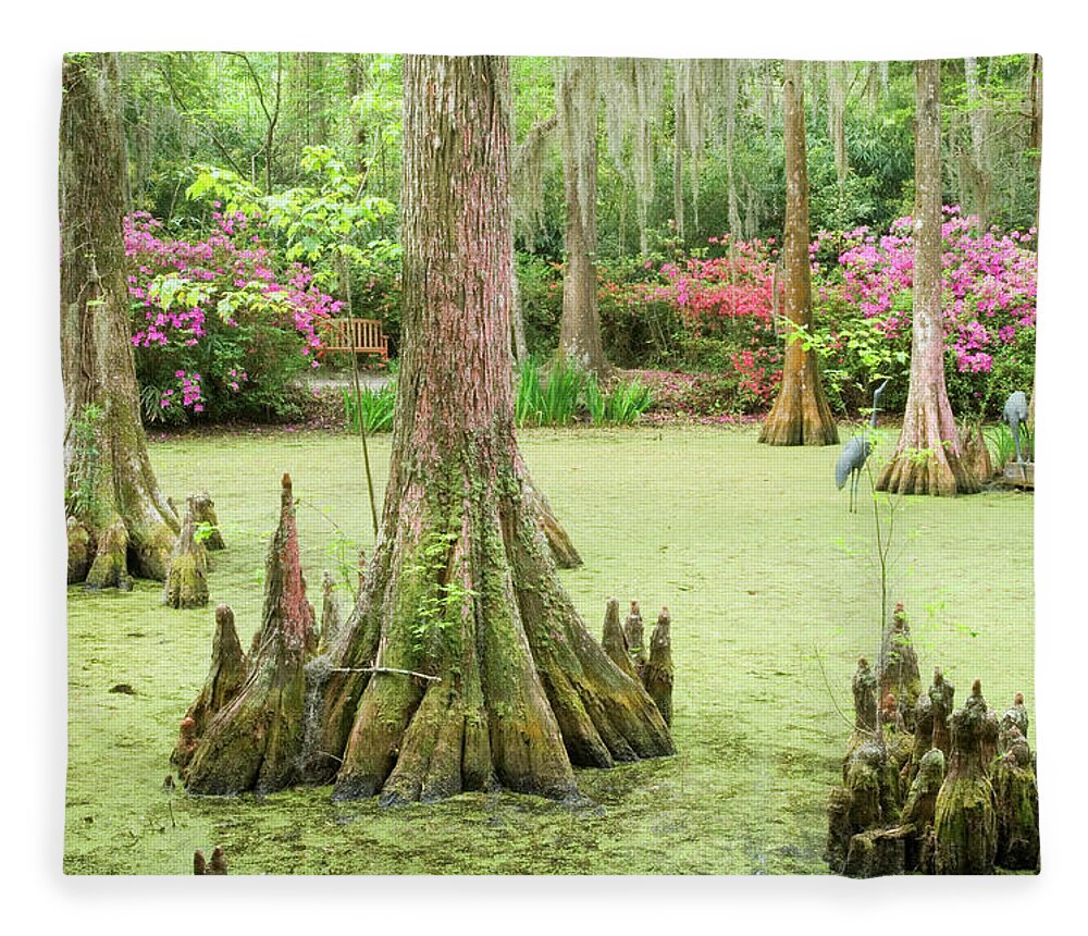 Outdoors Fleece Blanket featuring the photograph Cypress Swamp by Tony Sweet