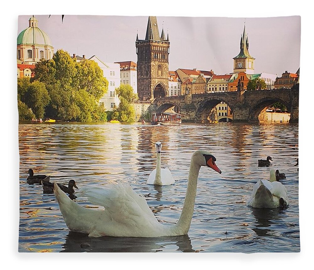 River Fleece Blanket featuring the photograph Czech Swans Swimming by Andrea Whitaker