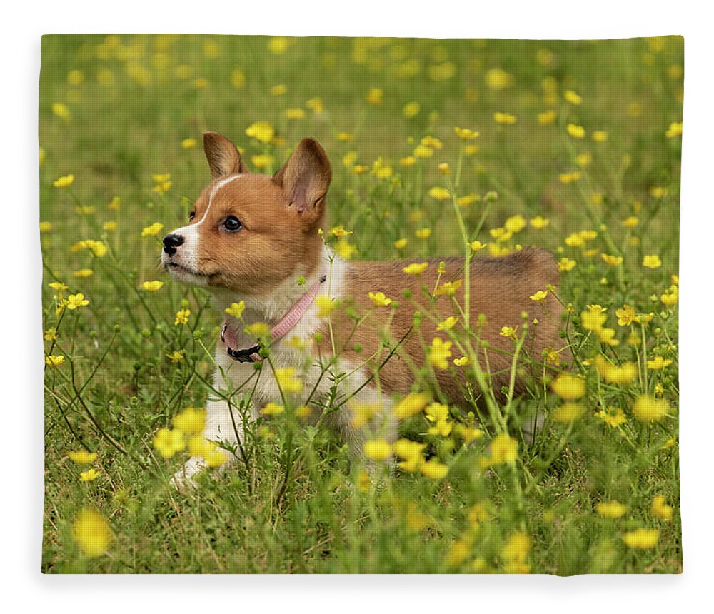 Daffodil Fleece Blanket featuring the photograph Daffodil in Buttercups by Donna Twiford