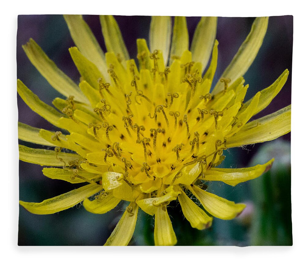Flower Fleece Blanket featuring the photograph Dancing at the Floral Ball by Ivars Vilums