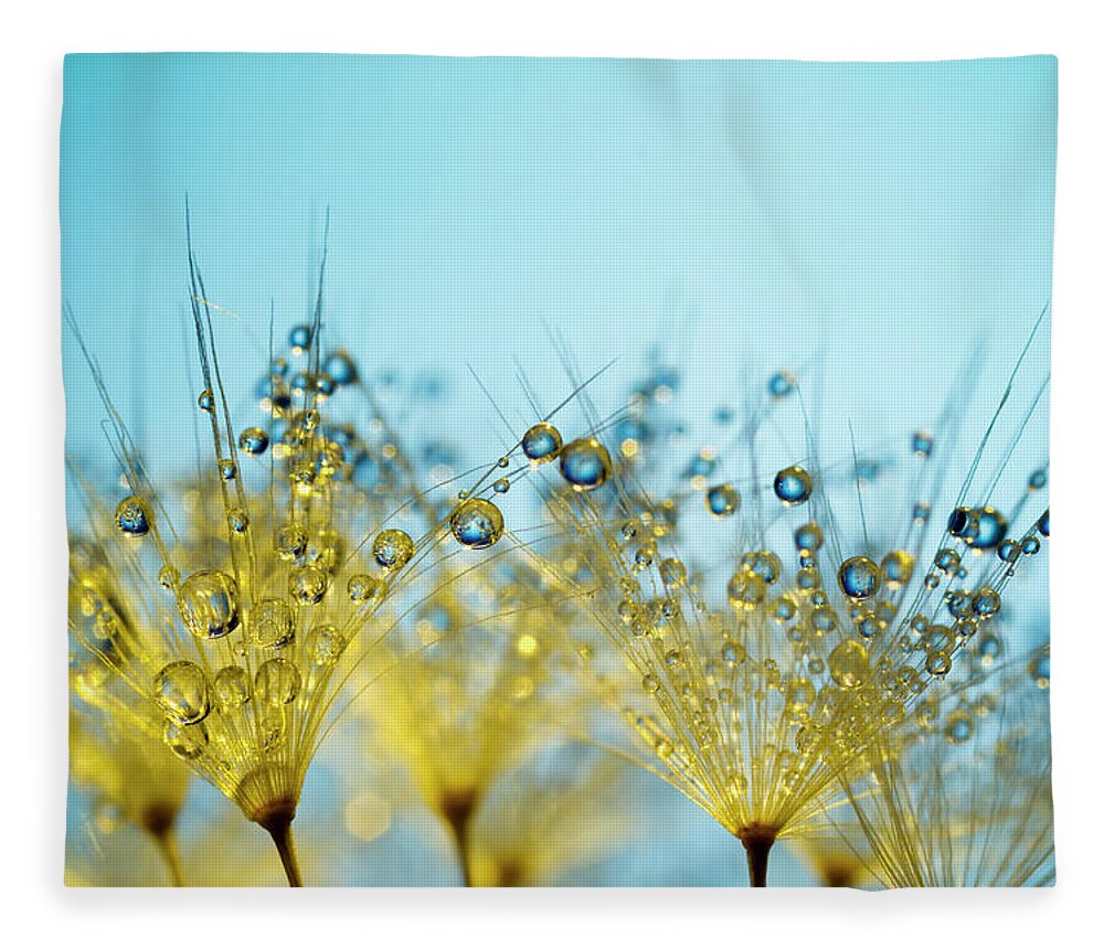 Yellow Fleece Blanket featuring the photograph Dandelion And Dew - Gold Abstract Macro by Thomasvogel