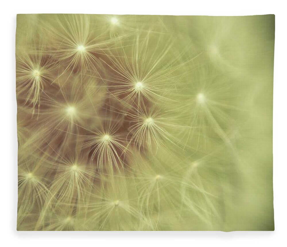 Single Flower Fleece Blanket featuring the photograph Dandelion by Image By Lisa Bunag