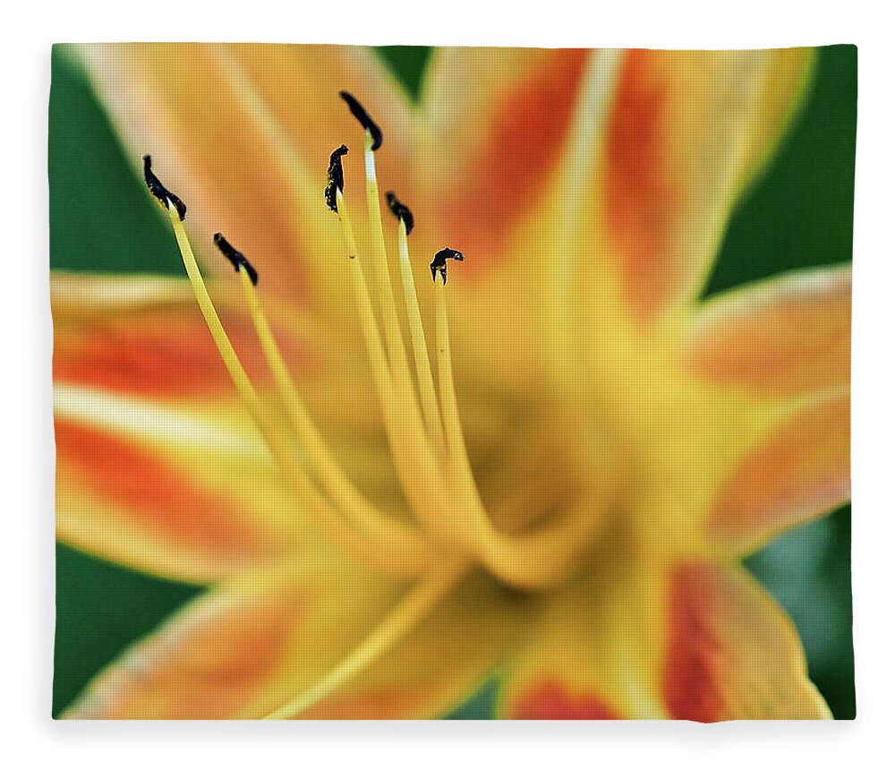 Lily Fleece Blanket featuring the photograph Day Lily by Jerry Connally