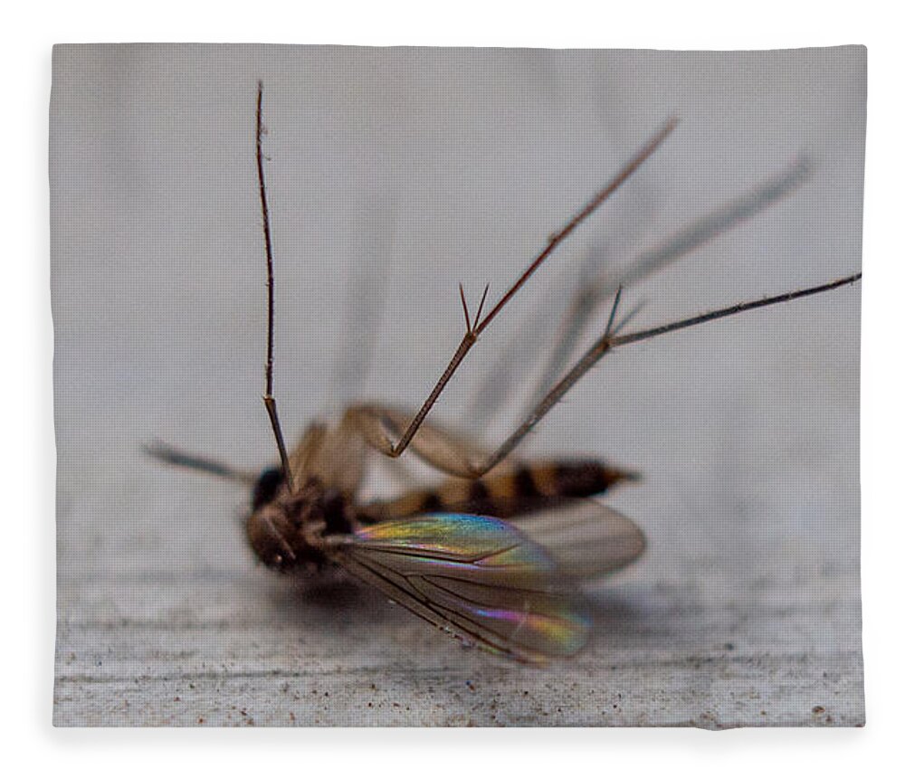 Insect Fleece Blanket featuring the photograph Dead Bug by Ivars Vilums